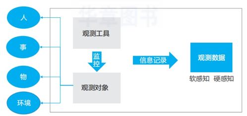 數(shù)據(jù)服務分類概述及其在數(shù)據(jù)處理中的應用